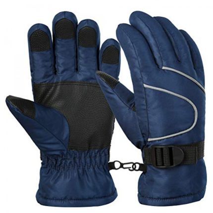 Ski Gloves